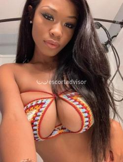 Escort 3533800827