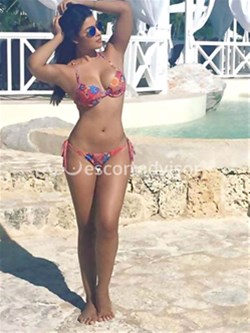 Escort 3533910527
