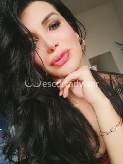 Trans 3534152377