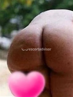 Escort 3663205066