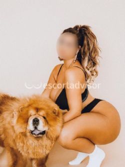 Escort 3669351000