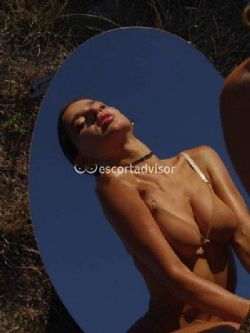 Escort 3669819588