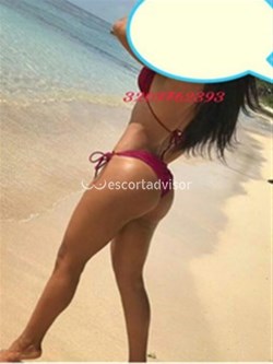 Escort 3713535887