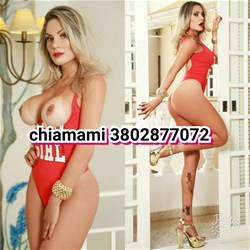 Trans 3802877072