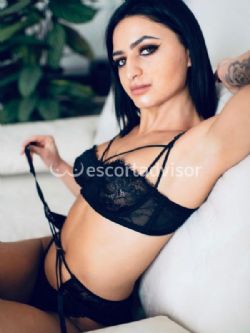 Escort 3881788205