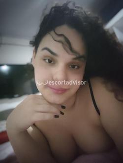 Trans 3886491260
