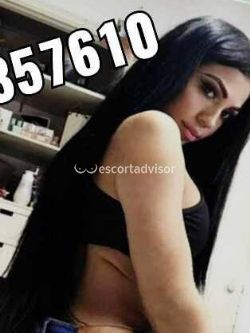 Trans 3892357610