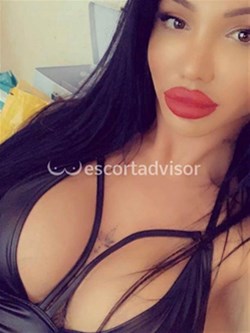 Trans 3892394407