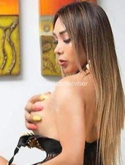 Trans 3896507615