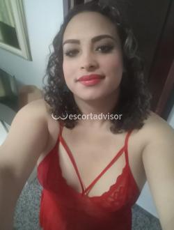 Trans 613635744