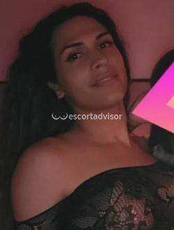 Trans 662493796